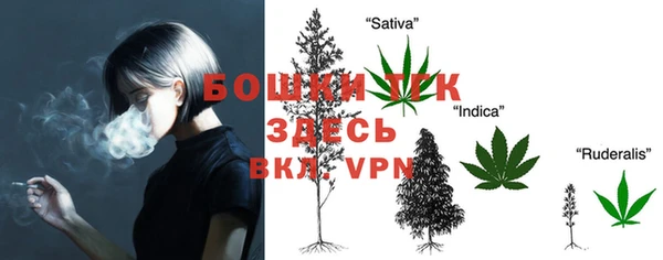 молекула духа Бронницы