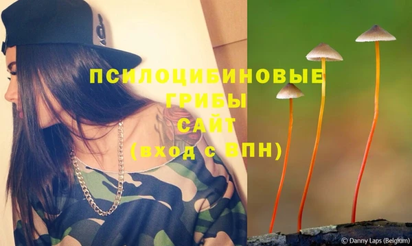 бутик Бородино