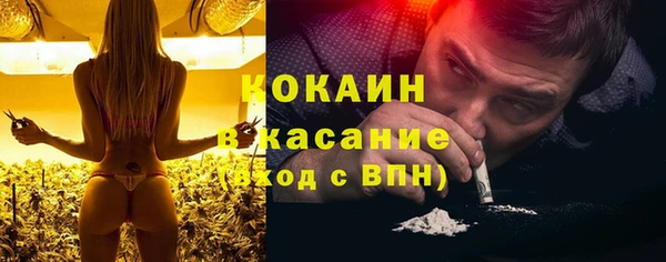 молекула духа Бронницы