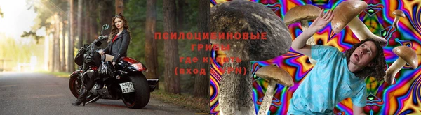 дживик Бугульма