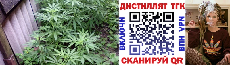 Дистиллят ТГК вейп с тгк  ОМГ ОМГ как войти  Козьмодемьянск 