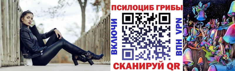 Псилоцибиновые грибы GOLDEN TEACHER  сколько стоит  Козьмодемьянск 